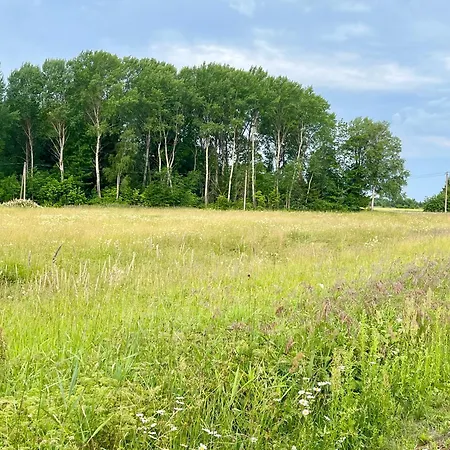 Gasthof Marta 8 - Centre & Garden 2*